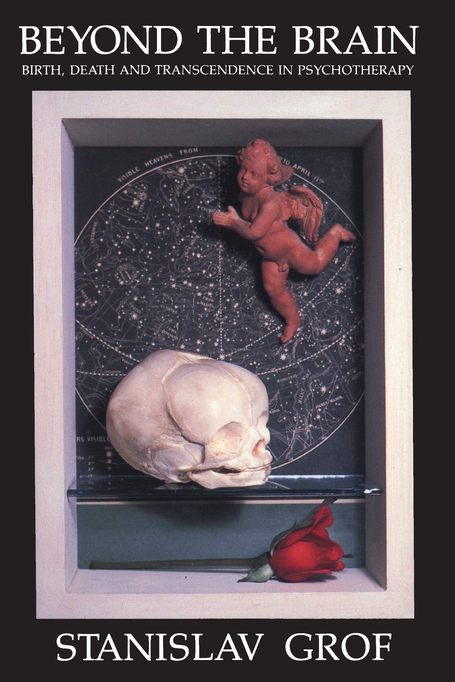 Más allá del cerebro: nacimiento, muerte y trascendencia en psicoterapia (SUNY Series in Transpersonal & Humanistic Psychology)