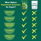 Kuli Kuli Super Energy Gummies - Suplemento Energético Natural con Moringa, Sin Cafeína - 60 Gominolas No GMO, Sin Gluten