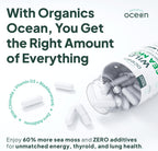 Organics Ocean Cápsulas de Musgo Marino Salvaje - 100% Orgánico con Chlorella, Bladderwrack y Vitamina D - 6 Botellas