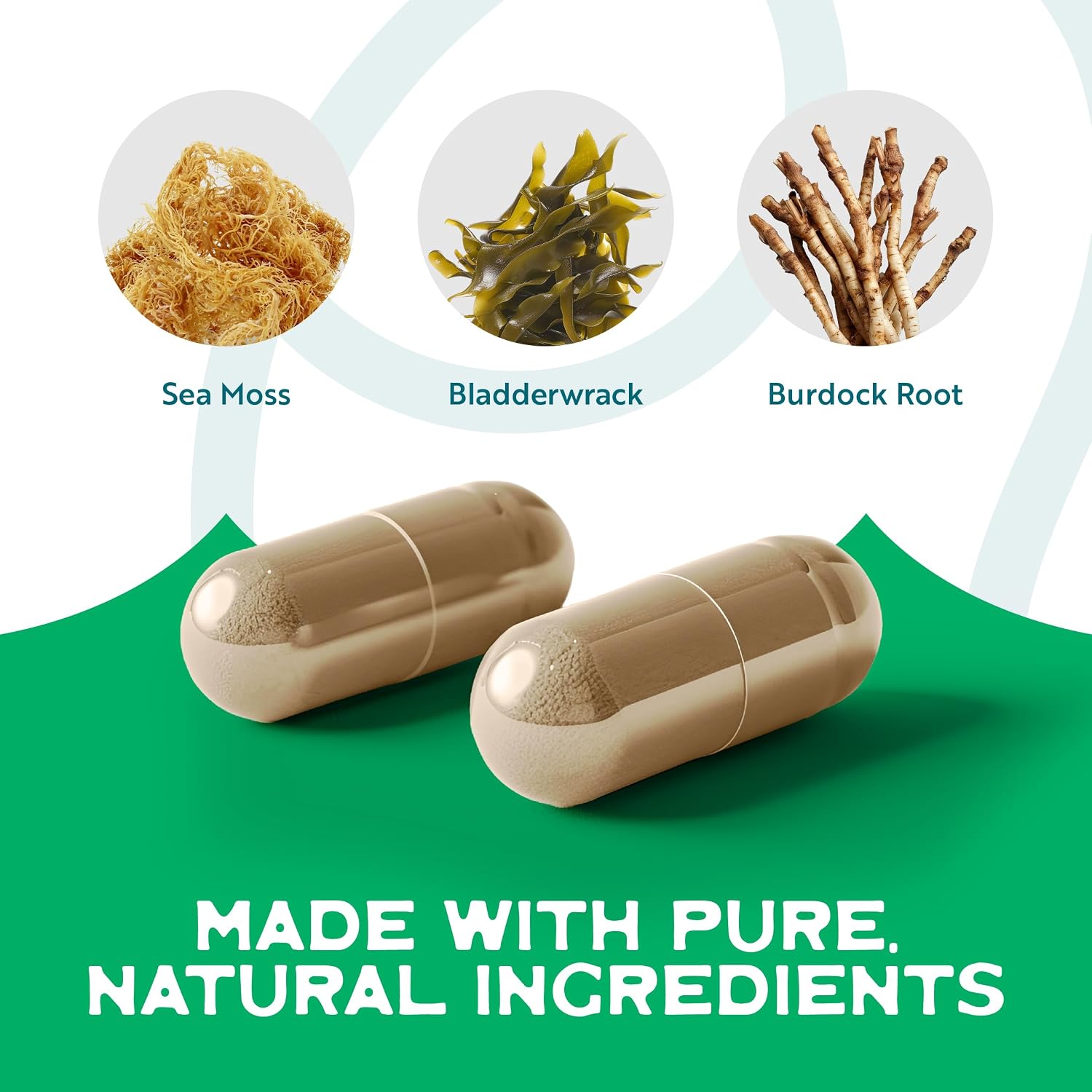 Herbal Vineyards Musgo Marino, Fucus y Bardana Orgánico 1500mg - 120 Cápsulas (Pack de 2)