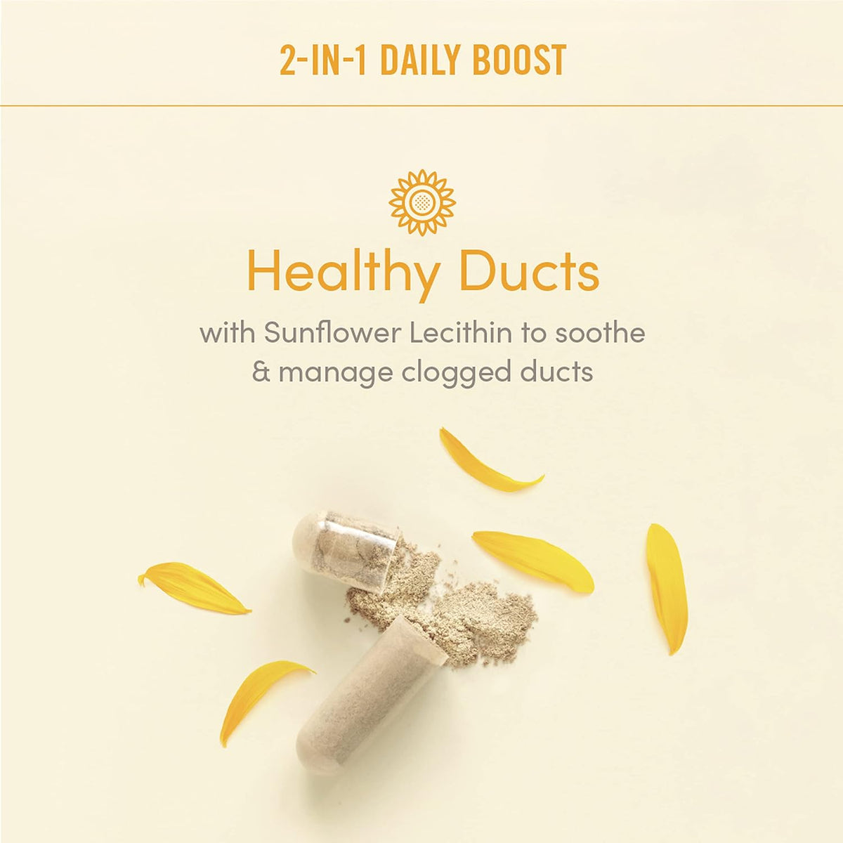Munchkin® Milkmakers® Daily Boost 2 en 1 – Cardo mariano (Silybum marianum) : tradicionalmente usado para apoyar – Image 4