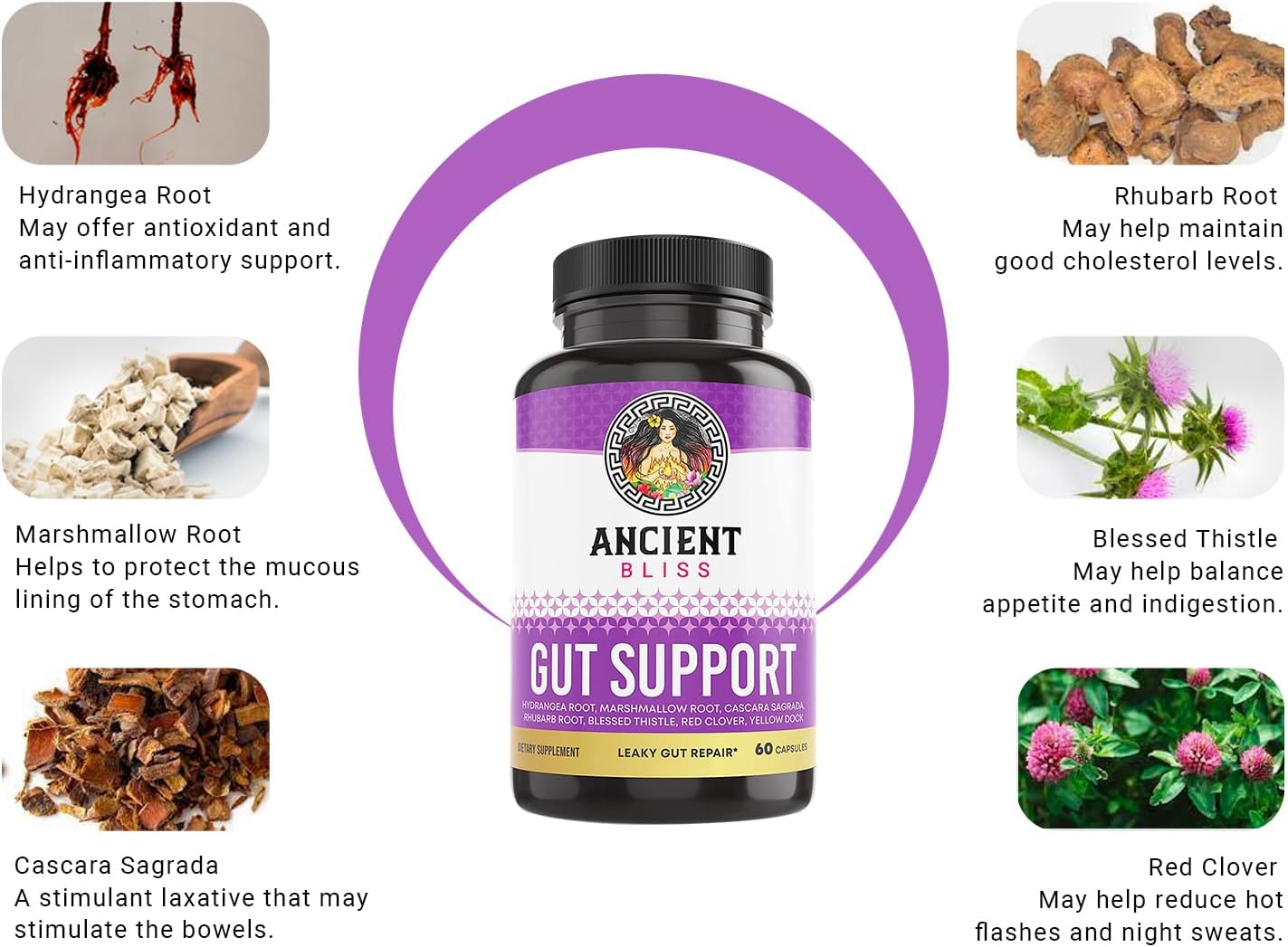 Ancient Bliss Suplemento Intestinal con L-Glutamina, Cardo Bendito y Raíz de Hidrangea – 60 Cápsulas Veganas