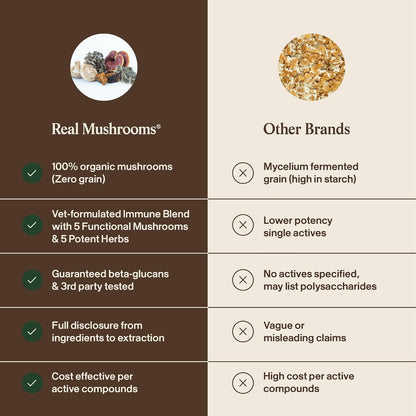 Real Mushroom Immune Pet Chews – 60 – Chaga: rico en antioxidantes que ayudan a combatir el estrés oxidativo. – Image 7