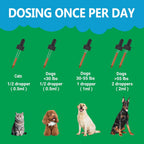 FURIEND Kidney Support – Suplemento Renal Líquido para Perros y Gatos | 59ml