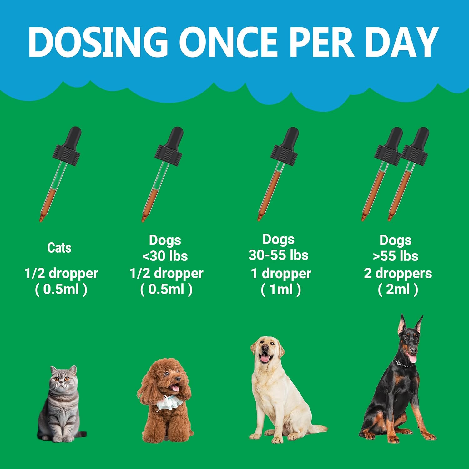 FURIEND Kidney Support – Suplemento Renal Líquido para Perros y Gatos | 59ml