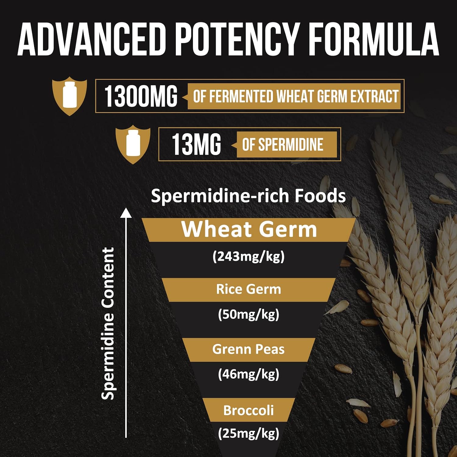 Cápsulas de Extracto de Germen de Trigo con Espermidina 13 mg – Fórmula Potente (1300 mg) con Zinc y Vitamina B1 – Paquete de 3