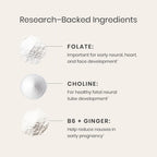 Perelel Pack Prenatal 1er Trimestre – 30 Sobres Diarios con Folato, Omega 3, Vitamina D, Hierro y Jengibre