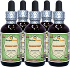 Shankhpushpi (Convolvulus Pluricaulis) Extracto Líquido de Hierba Entera Seca, HerbalTerra, 60 ml