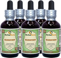 Extracto Líquido de Shankhpushpi (Convolvulus Pluricaulis) Sin Alcohol - HerbalTerra - 5 x 60 ml