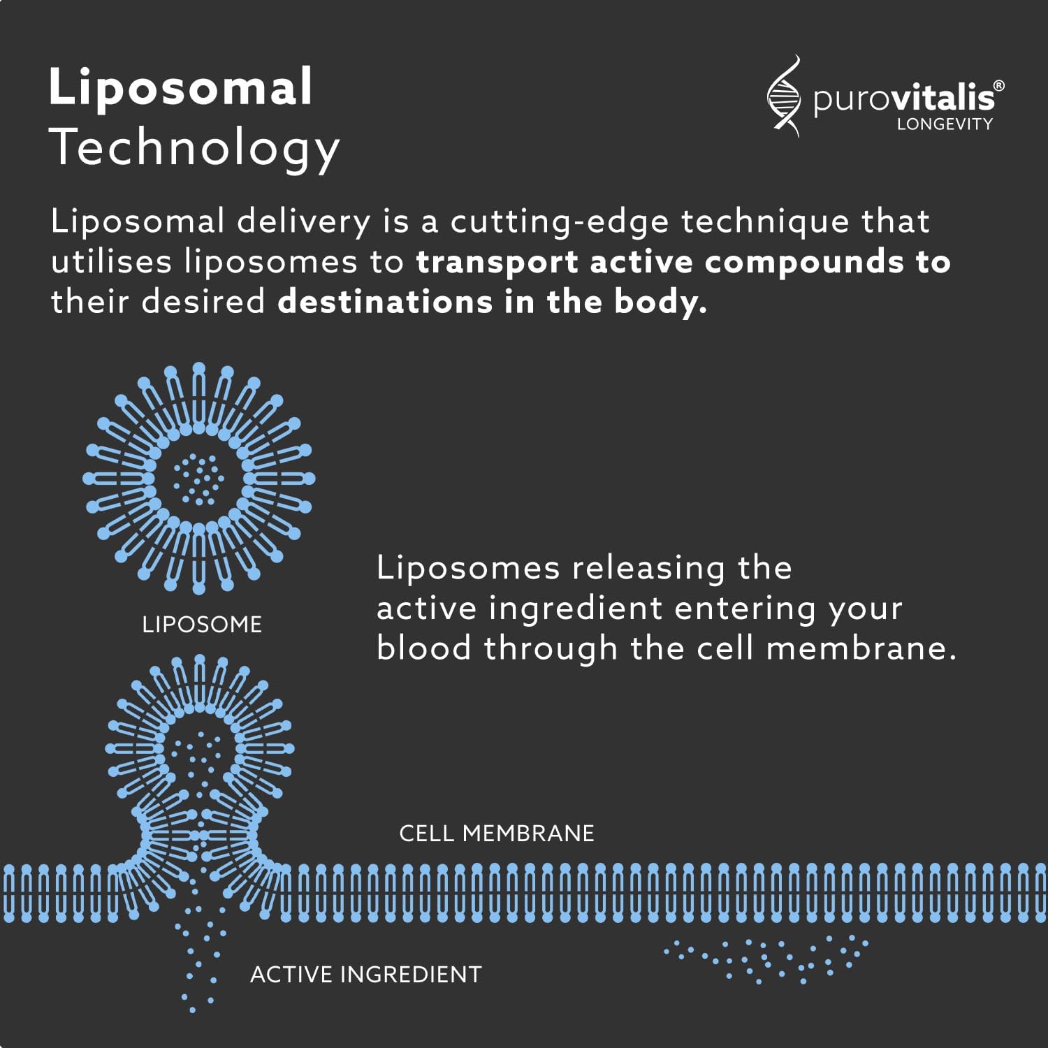 PUROVITALIS Vitamina D3 Liposomal 2000 UI - 60 Cápsulas Veganas