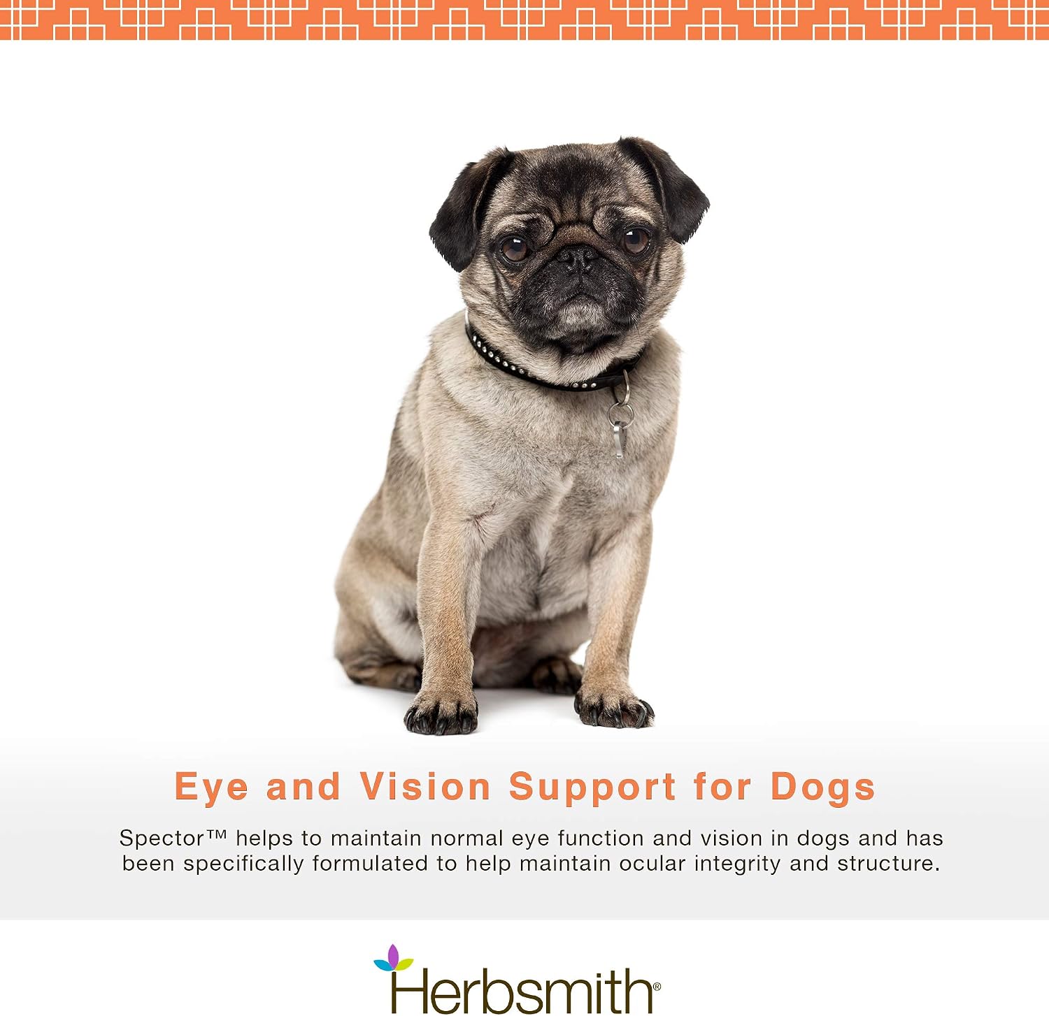 Herbsmith Spector - Suplemento para la Visión y Ojos de Perros, 60 Chews Grandes
