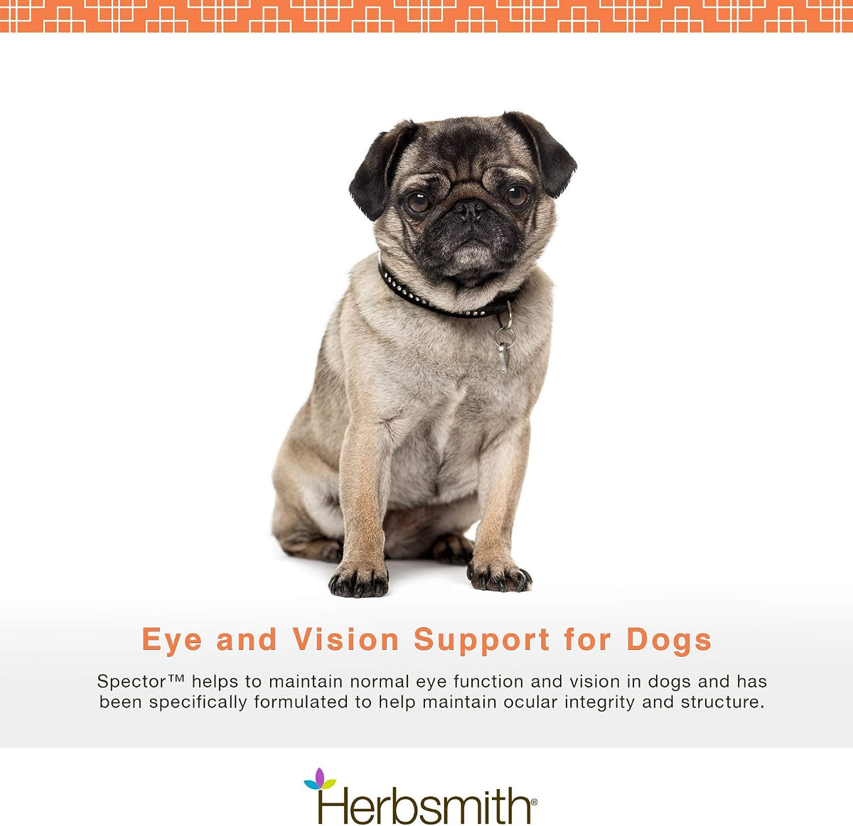 Herbsmith Spector – Apoyo Ocular y Visión – Vitamina C: Un antioxidante hidrosoluble que contribuye a la – Image 2