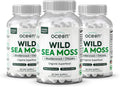 Organics Ocean Wild Sea Moss Cápsulas - Musgo Marino Orgánico con Chlorella, Bladderwrack y Vitamina D - 3 Botellas