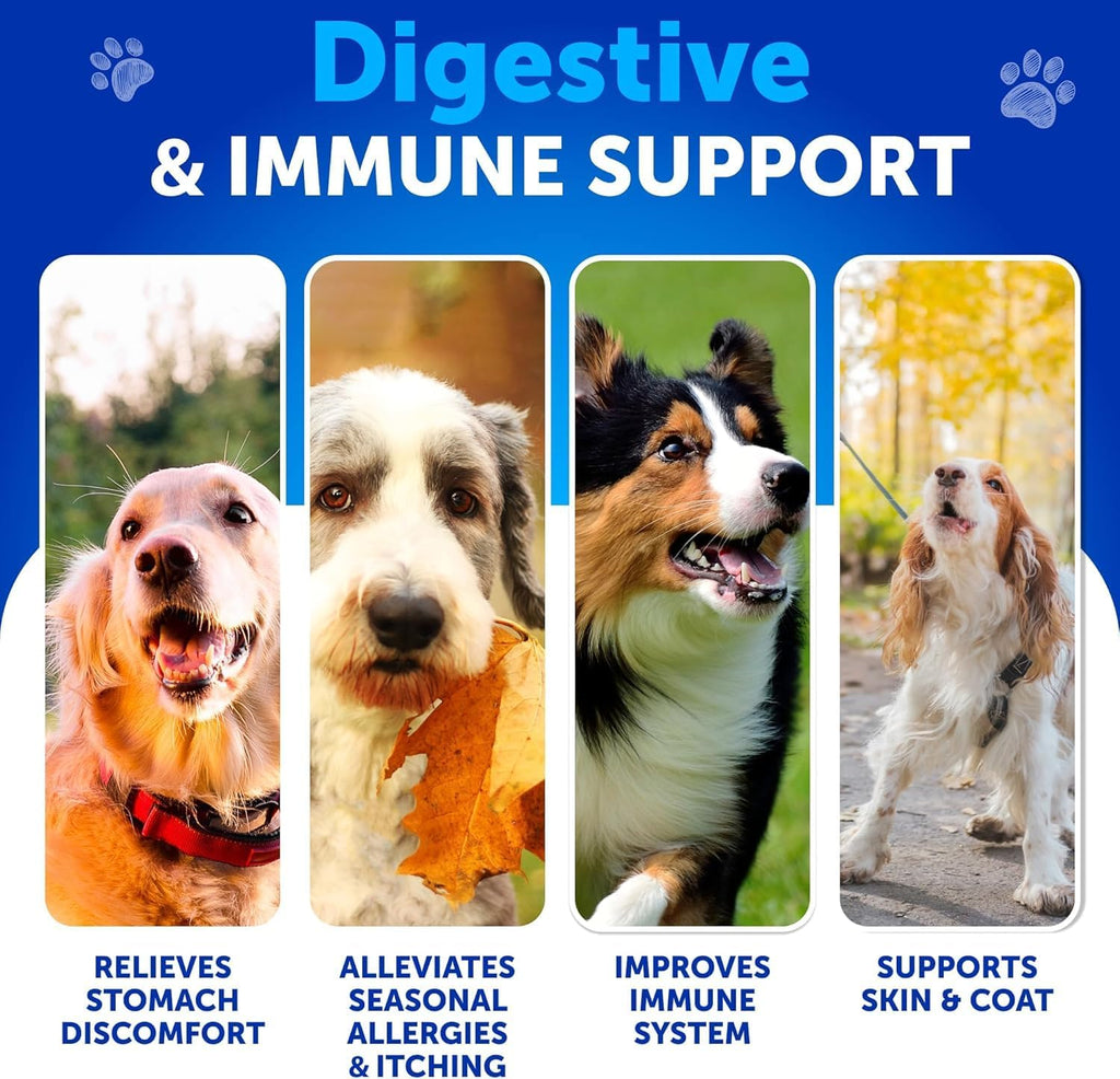 Probióticos para Perros - Apoya la Salud Digestiva, Piel con Picor, Alergias, Inmunidad, Equilibrio de Levaduras - Probióticos para Perros y Enzimas Digestivas con Prebióticos - Reduce Diarrea, Gases - 70 Masticables Probióticos para Perros