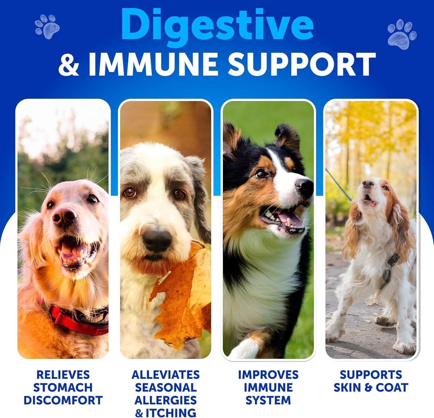 Probióticos para Perros - Apoya la Salud Digestiva, Piel con Picor, Alergias, Inmunidad, Equilibrio de Levaduras - Probióticos para Perros y Enzimas Digestivas con Prebióticos - Reduce Diarrea, Gases - 70 Masticables Probióticos para Perros