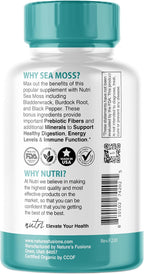 Nutri Certified Organic Sea Moss Capsules - Complejo de Musgo de Mar Orgánico, 1405mg, 60 Cápsulas