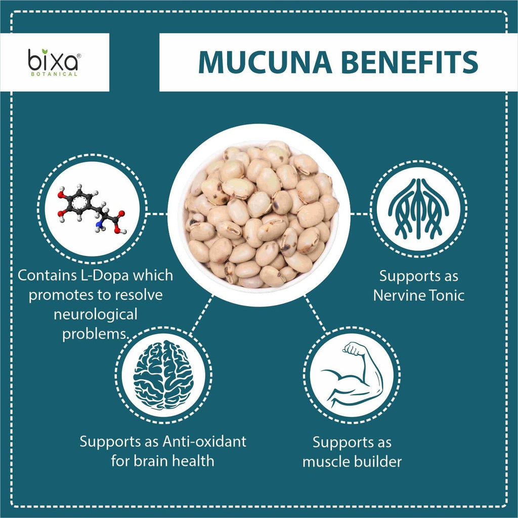bixa BOTANICAL Mucuna Pruriens en polvo | 454 g | Vegano, sin gluten, tratado al vapor
