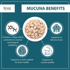 bixa BOTANICAL Mucuna Pruriens en polvo | 454 g | Vegano, sin gluten, tratado al vapor