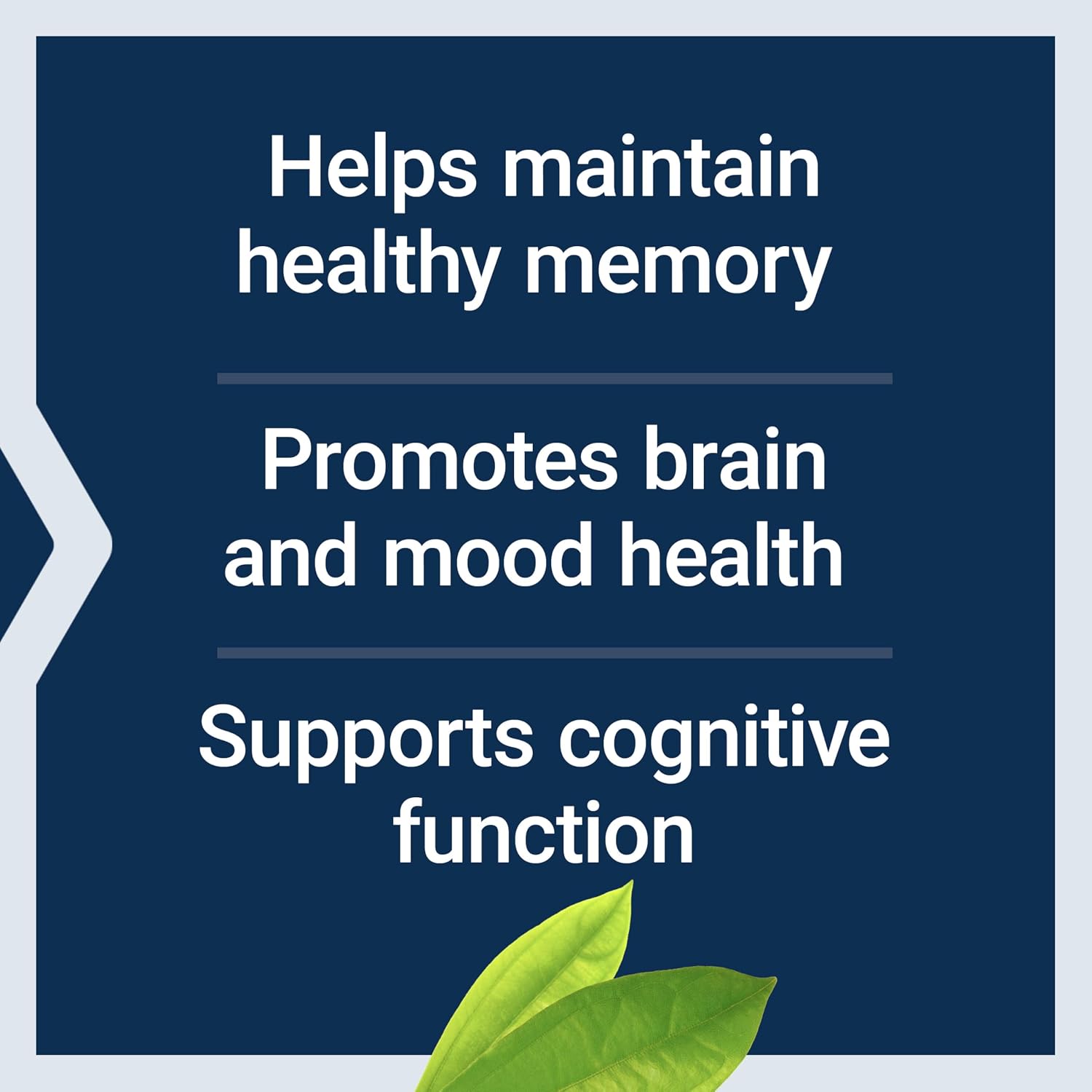 Life Extension Memory Protect, Lithium and Colostrinin, 36 Capsules (12 Colostrinin-Lithium + 24 Lithium)