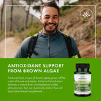 Swanson Ecklonia Cava Extract - Extracto de Ecklonia Cava Estandarizado - 30 Cápsulas Veganas (2 Paquetes)