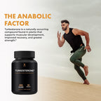 HUMANX Turkesterone+ 800mg - Suplemento para Desarrollo Muscular y Rendimiento Deportivo
