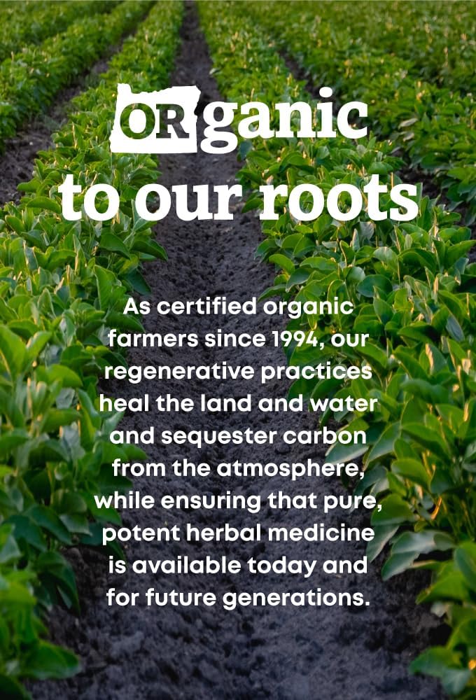 Oregon's Wild Harvest Suplemento Herbal de Olmo Americano Ecológico Cápsulas Veganas - 180 Unidades