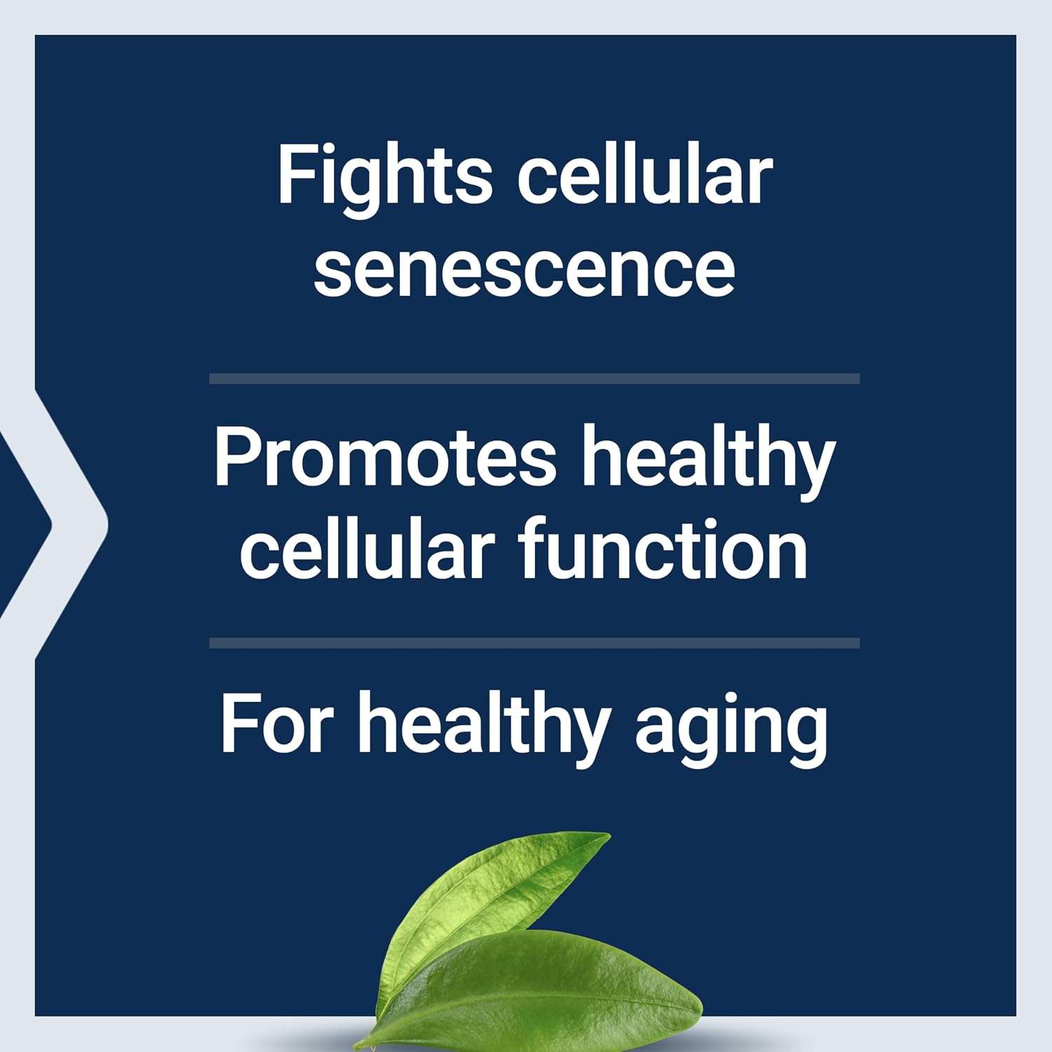 Life Extension GEROPROTECT® Ageless Cell™ – Salud Celular, Vitamina E, NAC, Té Verde, 30 Cápsulas Blandas