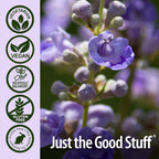 Nature's Answer Chasteberry (Vitex Agnus Castus) 400 mg, 90 Cápsulas