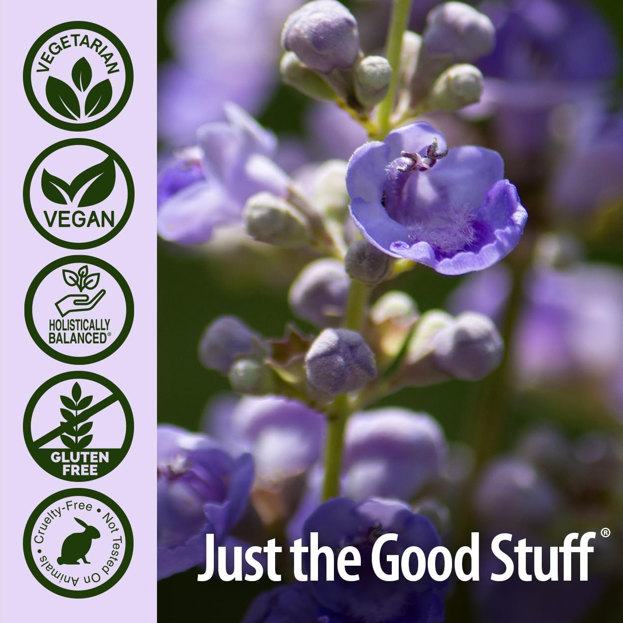Nature's Answer Chasteberry (Vitex Agnus Castus) 400 mg, 90 Cápsulas