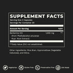 LifeSeasons Berberina 1000 mg - 90 Cápsulas - Apoyo para el Bienestar General