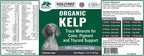 Dogzymes Alga marina noruega ecológica para mascotas (2,72 kg)