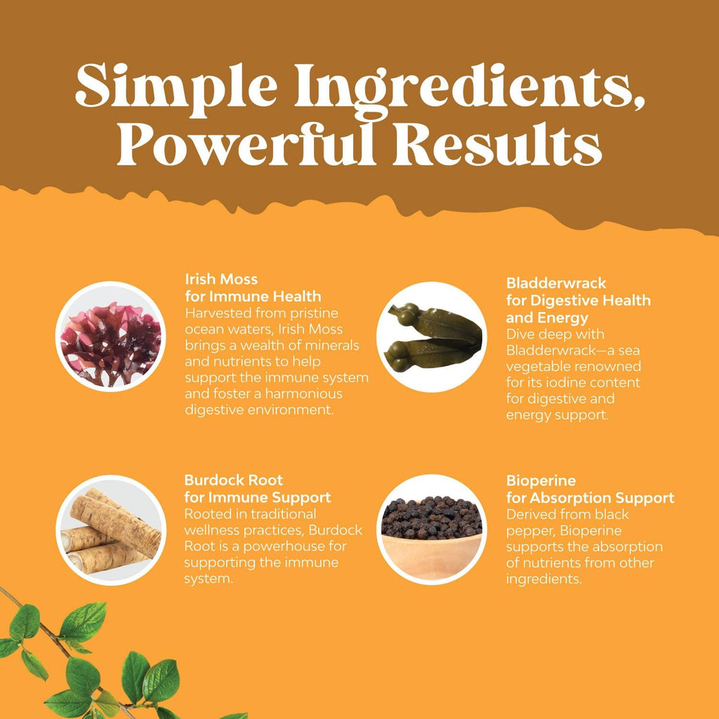 Natures Craft Cápsulas de Musgo Marino Irlandés - 2100mg por Dosis - Complejo de Superalimentos con Bladderwrack, Bardana y BioPerina - 180 Cápsulas