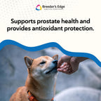 Breeder’s Edge in Between for Him – Multivitamínico diario para perros y gatos machos – 90 comprimidos
