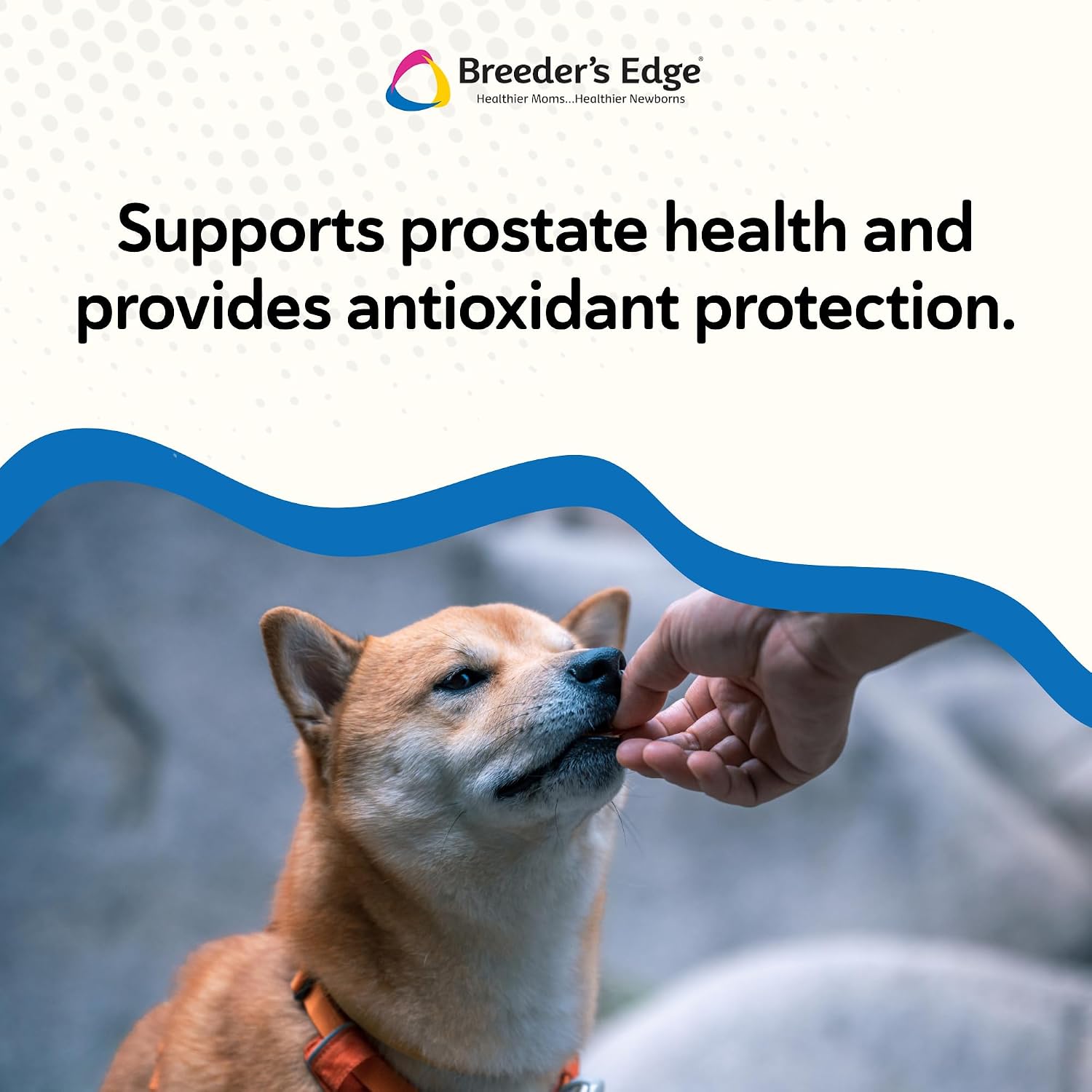 Breeder’s Edge in Between for Him – Multivitamínico diario para perros y gatos machos – 90 comprimidos