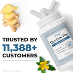 Quietum Plus – Cápsulas de Extractos Herbales – 60 Cápsulas