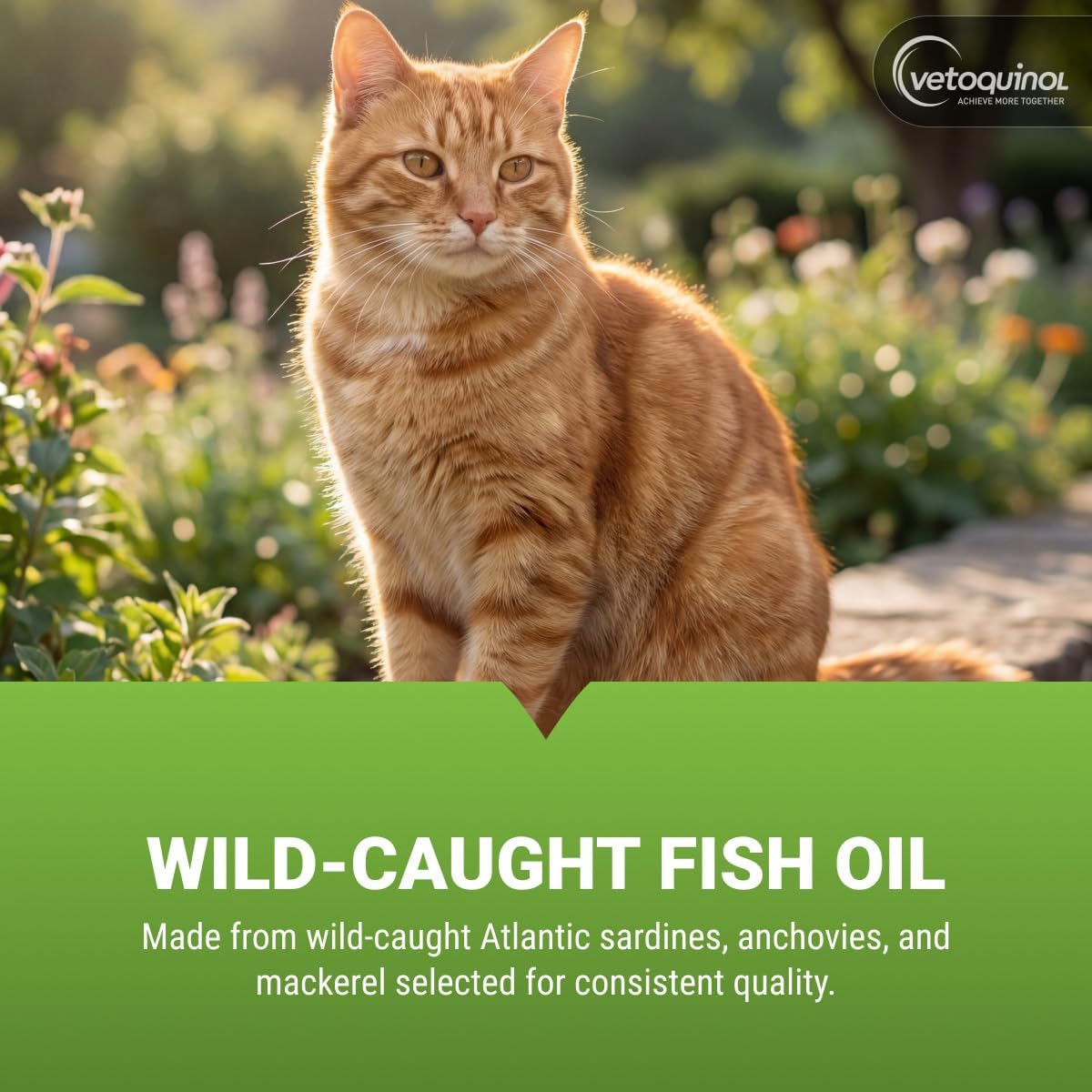 Vetoquinol Triglyceride Omega - Aceite de Pescado para Perros y Gatos - 250 Cápsulas