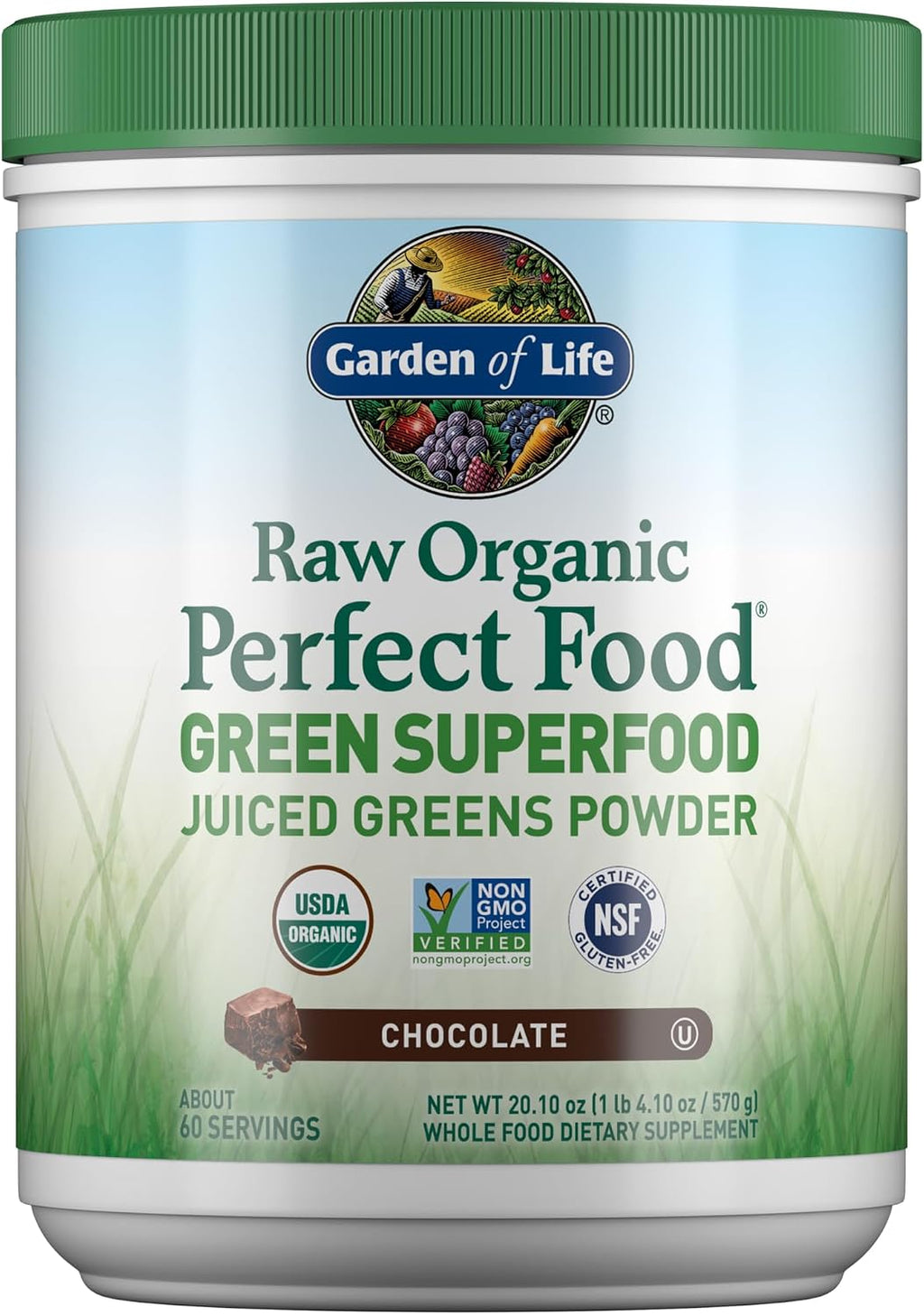 Garden of Life Raw Organic Perfect Food Green Superfood Juiced Greens Powder - Chocolate, 60 Raciones