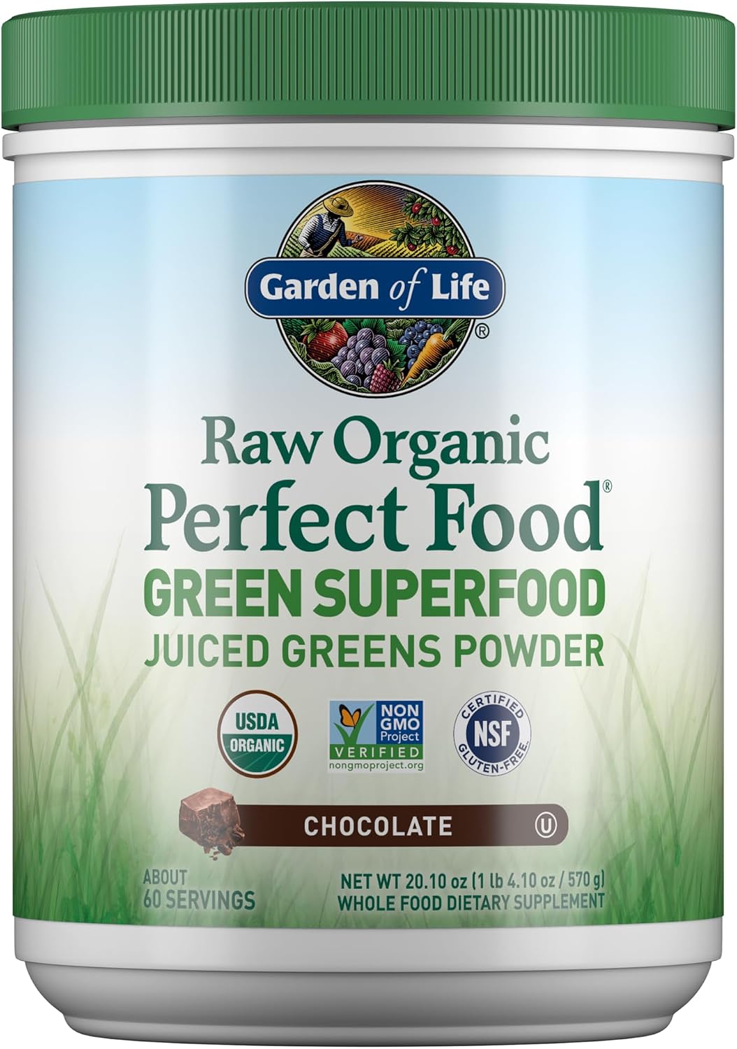 Garden of Life Raw Organic Perfect Food Green Superfood Juiced Greens Powder - Chocolate, 60 Raciones