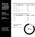 Toniiq 22mg Ultra Concentrated Spermidine Supplement - Espermidina 22mg - 60 Cápsulas Vegetarianas