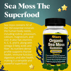 Vitastars Gominolas Orgánicas de Sea Moss con Vinagre de Manzana, Bardana y Fucus | 3000 mg, 60 Gominolas