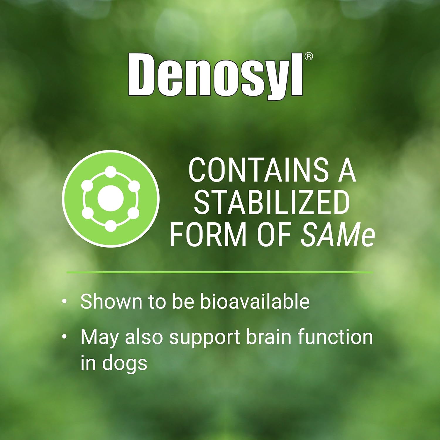 Denosyl for Medium Dogs - Supplement with S-adenosylmethionine (SAMe) - 30 Tablets