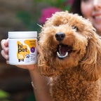 HiPet Multivitamin Bites - Suplemento vitamínico para perros (Pack de 6)