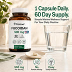 PRISTINE'S Fucoidan 500mg Cápsulas - 60 Días - Extracto de Alga Parda