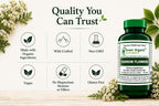 Yarrow Flower (Milenrama), 90 Cápsulas Vegetales, No OGM, Sin Gluten