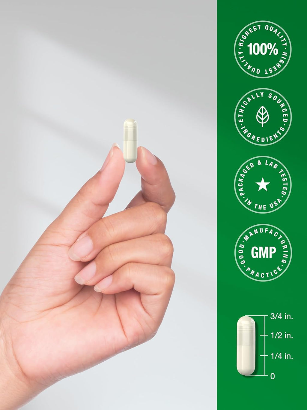 Horbäach Cápsulas de Extracto de Algas Marinas Pardas – 200 Cápsulas con Fucoxantina y Té Verde