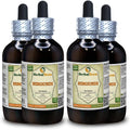 Extracto Líquido de Nirgundi (Vitex Negundo) – 4 botellas de 4 oz