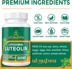 Ulmubra 800 mg Luteolina Liposomal - Suplemento Antioxidante de Alta Absorción, 60 Perlas