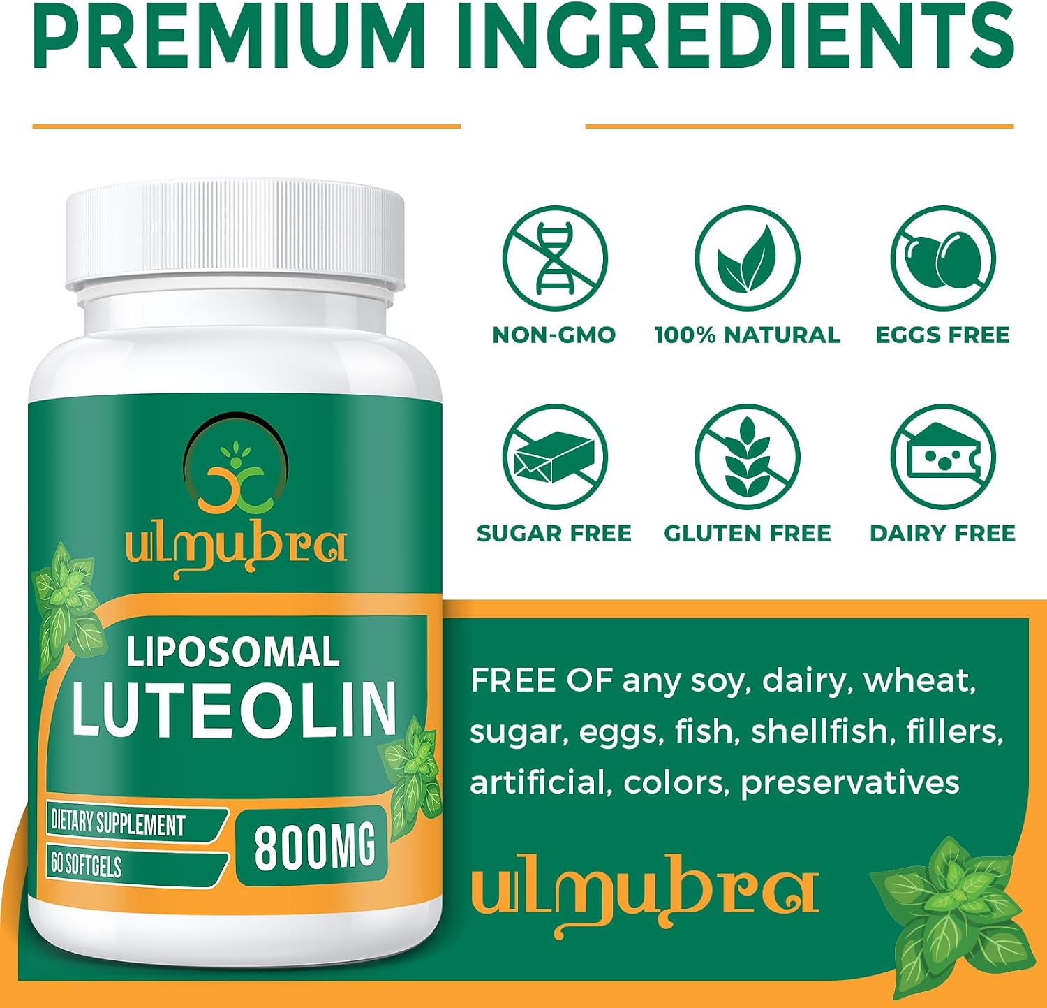 Ulmubra 800 mg Luteolina Liposomal - Suplemento Antioxidante de Alta Absorción, 60 Perlas