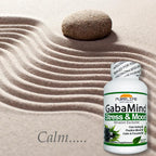 GabaMind Stress and Mood (90 Cápsulas)