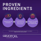 MemoryXL - Magnesio L-Treonato con Fosfatidilserina y Vitaminas - 30 sticks sabor arándano limón